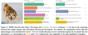 PEEB classifies this Dogs-120 image into Alaskan Malamute (softmax: 0.199) due to the matching between the image regions and associated textual part descriptors. In contrast, the explanation shows that the input image is not classified into Cairn Terrier mostly because its ears and body regions do not match the text descriptors, i.e., dot products are 0.000 and 0.000, respectively. See Appendix G for more qualitative examples.