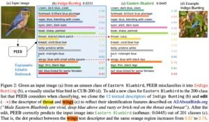 Given an input image (a) from an unseen class of Eastern Bluebird, PEEB misclassifies it into Indigo Bunting (b), a visually similar blue bird in CUB-200 (d). To add a new class for Eastern Bluebird to the 200-class list that PEEB considers when classifying, we clone the 12 textual descriptors of Indigo Bunting (b) and edit (- -▸) the descriptor of throat and wings (c) to reflect their identification features described on AllAboutBirds.org (“Male Eastern Bluebirds are vivid, deep blue above and rusty or brick-red on the throat and breast”). After the edit, PEEB correctly predicts the input image into Eastern Bluebird (softmax: 0.0445) out of 201 classes (c). That is, the dot product between the wings text descriptor and the same orange region increases from 0.57 to 0.74.